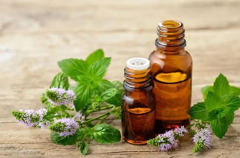 Pure Patchouli Essential Oil: Origin, Benefits, Uses, and Why Quality Matters