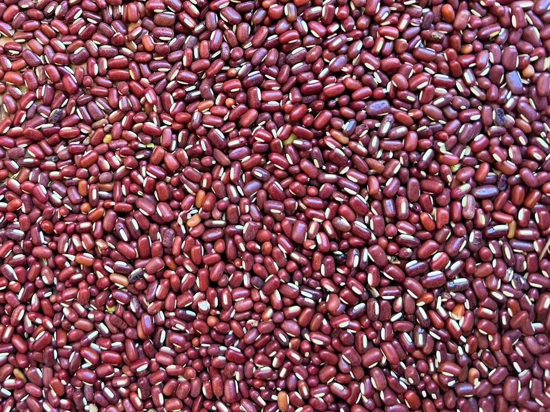 Bamboo Beans Exporter: Delivering Premium Madagascar Beans to Global Markets