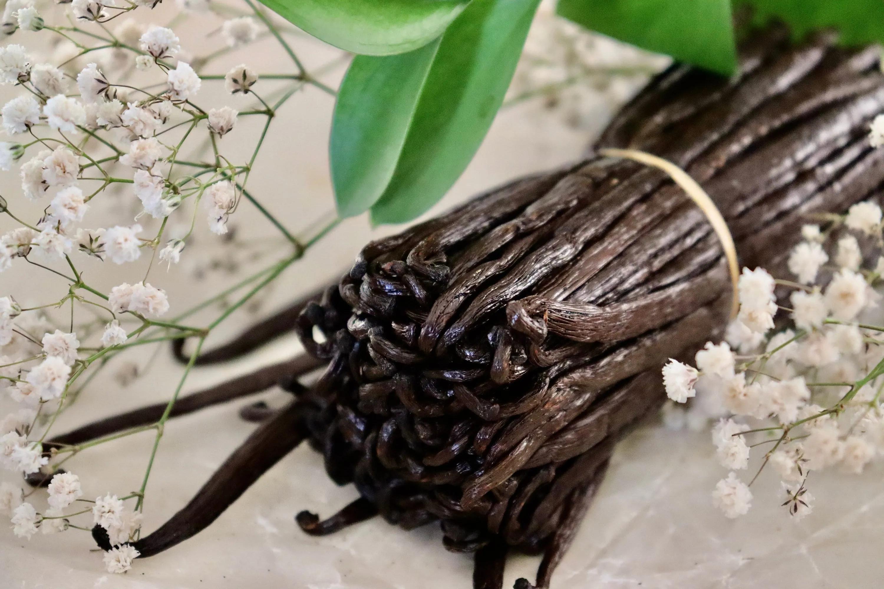 Bourbon Vanilla: Understanding Its Rich Flavor, Quality, Uses, and Culinary Value